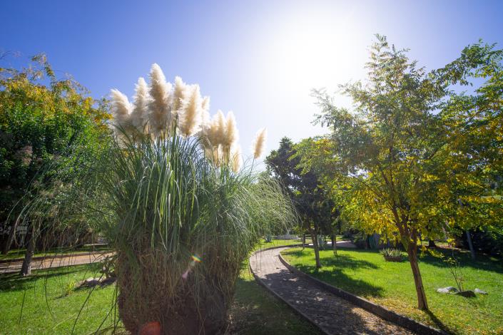 Image No.10-5 Bed Villa for sale