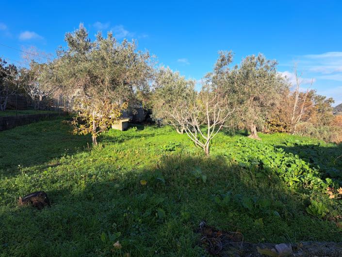 Image No.18-1 Bed Country Property for sale