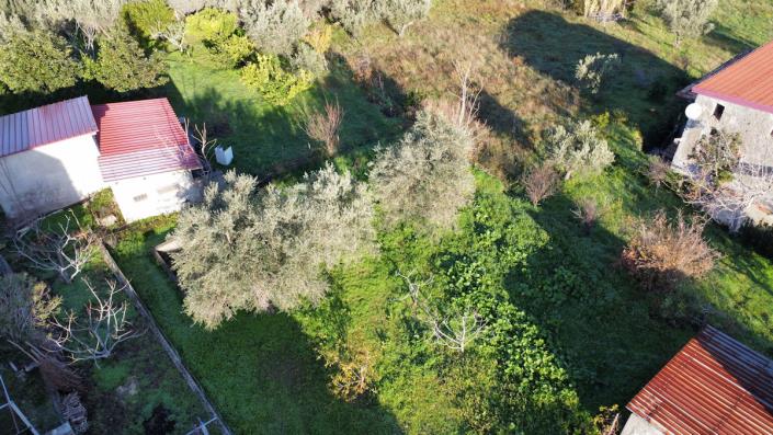 Image No.3-1 Bed Country Property for sale