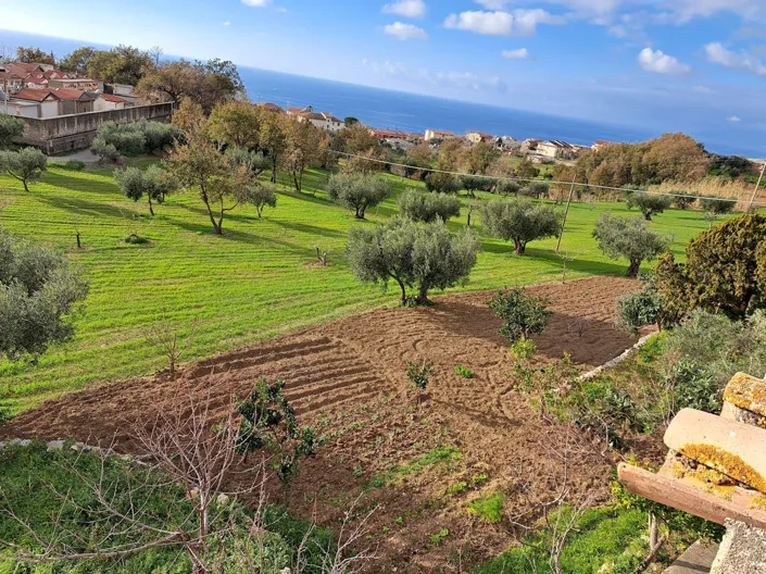 Image No.25-4 Bed Farmhouse for sale