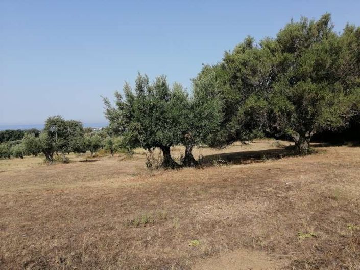 Image No.4-Land for sale