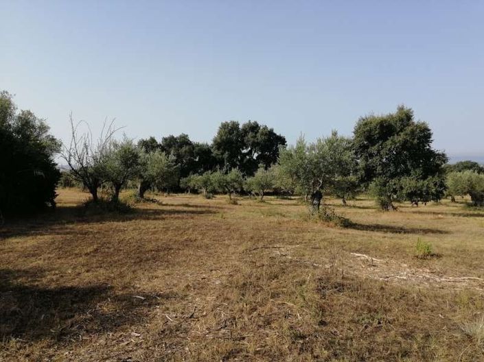 Image No.5-Land for sale