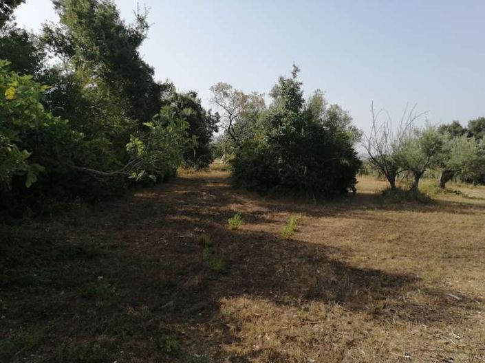 Image No.6-Land for sale