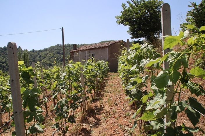 Image No.5-1 Bed Property for sale