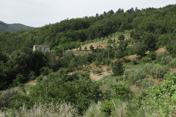 Image No.8-1 Bed Property for sale