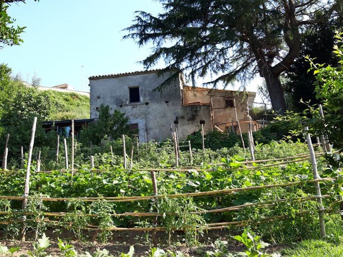 Image No.1-Farmhouse for sale