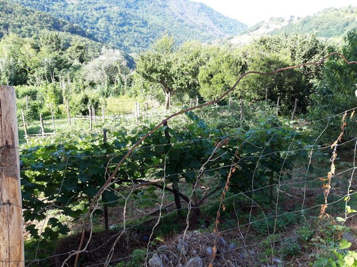 Image No.11-Farmhouse for sale