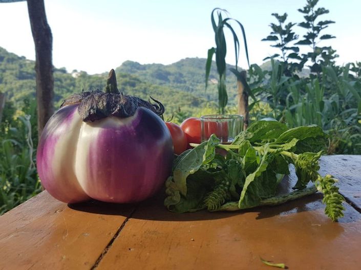 Image No.16-Farmhouse for sale