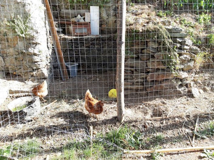 Image No.2-Farmhouse for sale