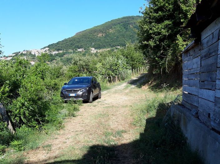 Image No.5-Farmhouse for sale