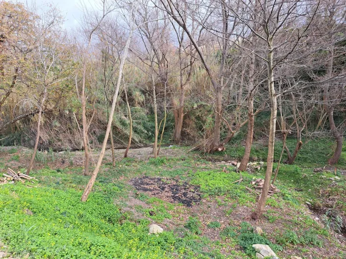 Image No.17-Property for sale