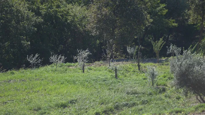 Image No.37-Property for sale