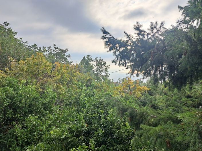 Image No.14-2 Bed House for sale