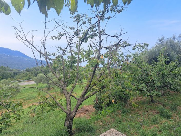 Image No.13-4 Bed House for sale