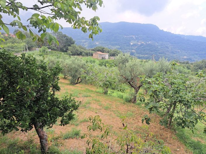 Image No.24-4 Bed House for sale