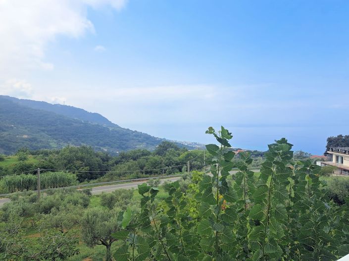 Image No.28-4 Bed House for sale