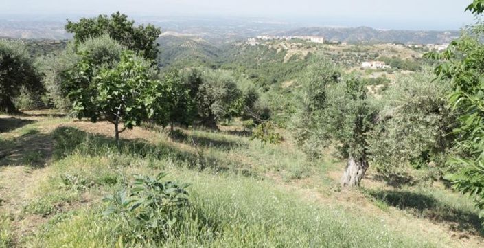 Image No.19-2 Bed House for sale