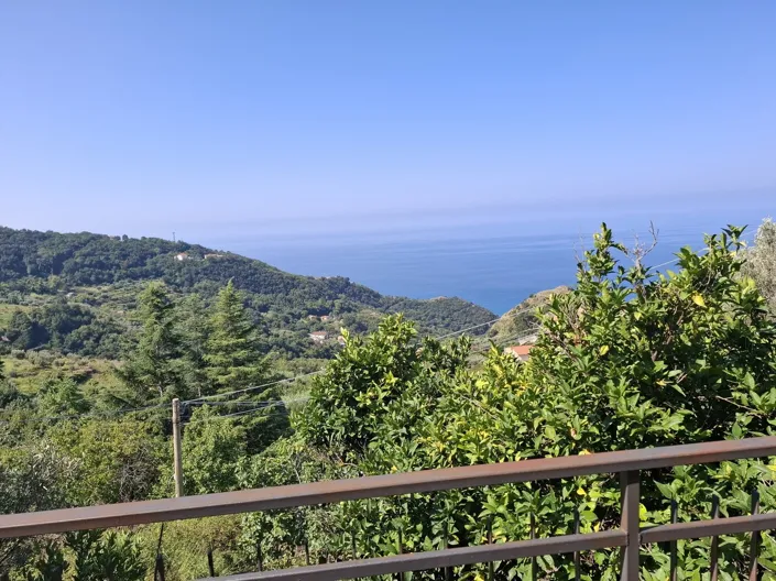 Image No.24-4 Bed House for sale