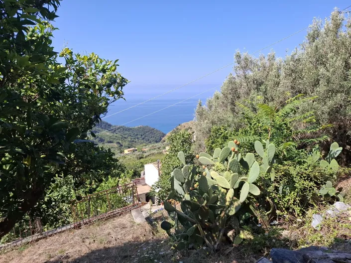 Image No.27-4 Bed House for sale