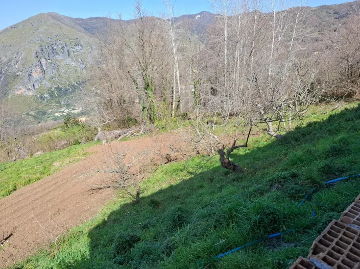 Image No.17-2 Bed House for sale