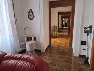 original20250823-11125868d416d8a665djpg