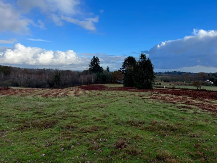 Image No.11-3 Bed Farmhouse for sale