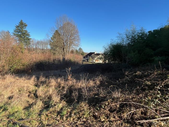 Image No.3-Plot for sale