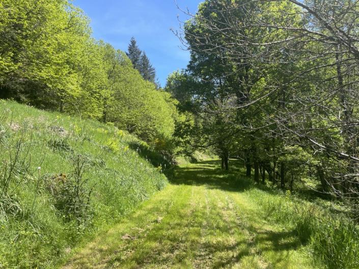 Image No.10-3 Bed Country House for sale