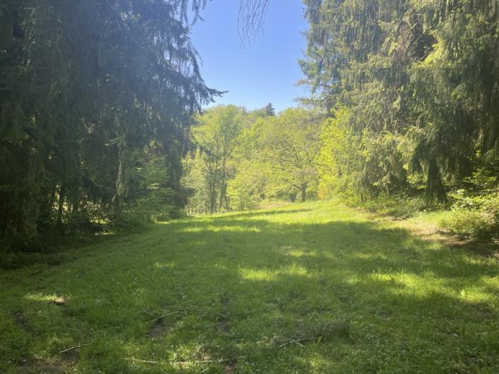 Image No.27-3 Bed Country House for sale