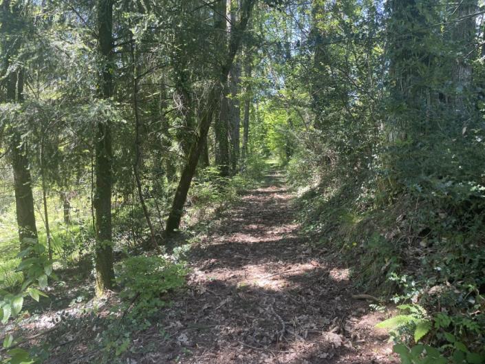 Image No.28-3 Bed Country House for sale