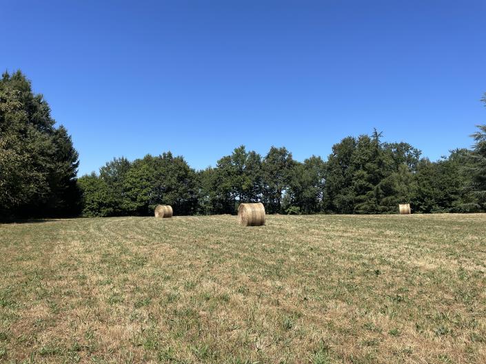 Image No.10-Grange de 3 chambres à vendre à Benayes