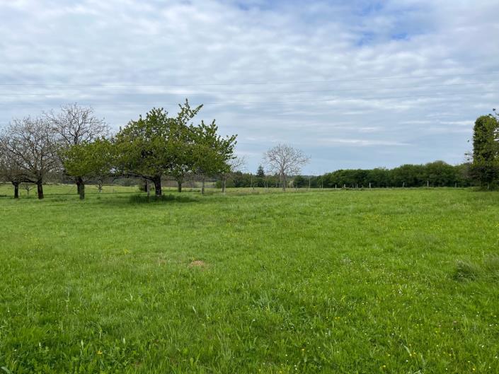 Image No.7-3 Bed Farmhouse for sale