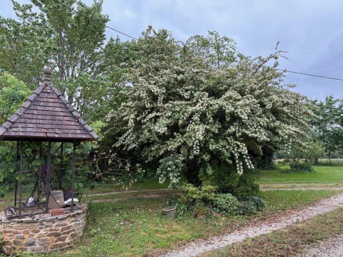 Image No.22-3 Bed Farmhouse for sale