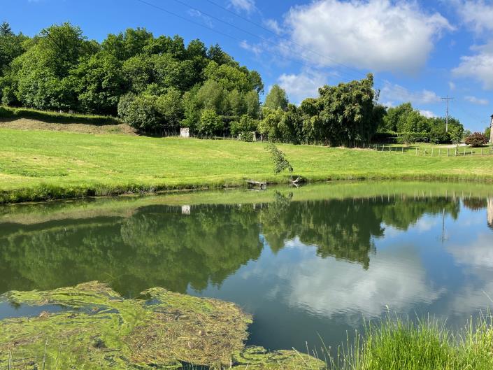 Image No.6-Land for sale