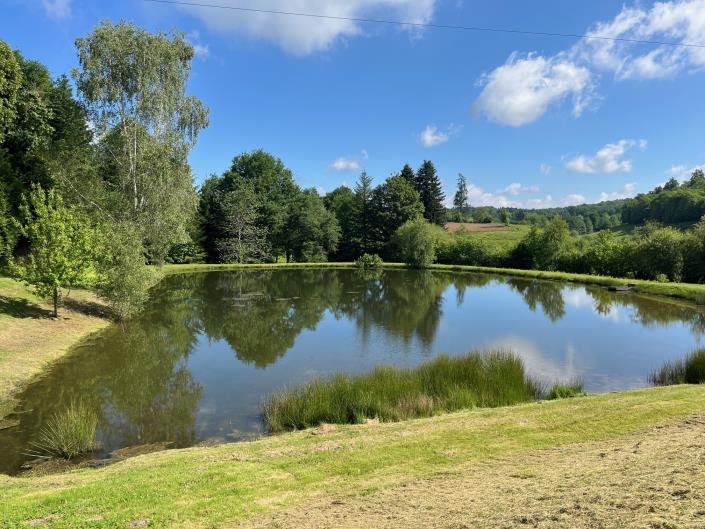 Image No.7-Land for sale