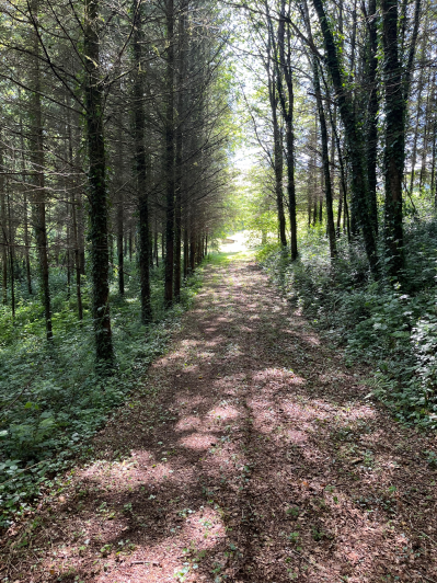 Image No.8-Land for sale