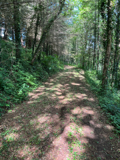 Image No.9-Land for sale