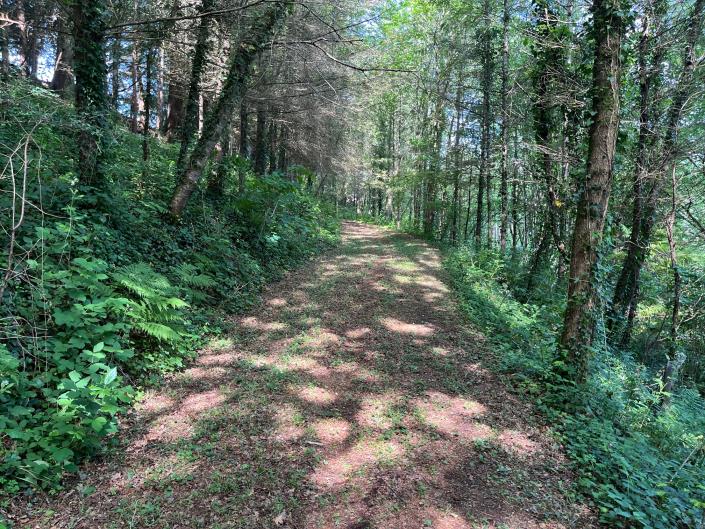 Image No.10-Land for sale