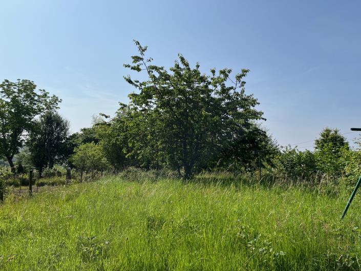 Image No.2-3 Bed Village House for sale