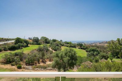 1447-517535-78d1f4f8b6655591b02d22fabb36a692d