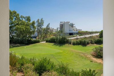 1447-517535-78d1f4f8b6655591b02d22fabb36a692d