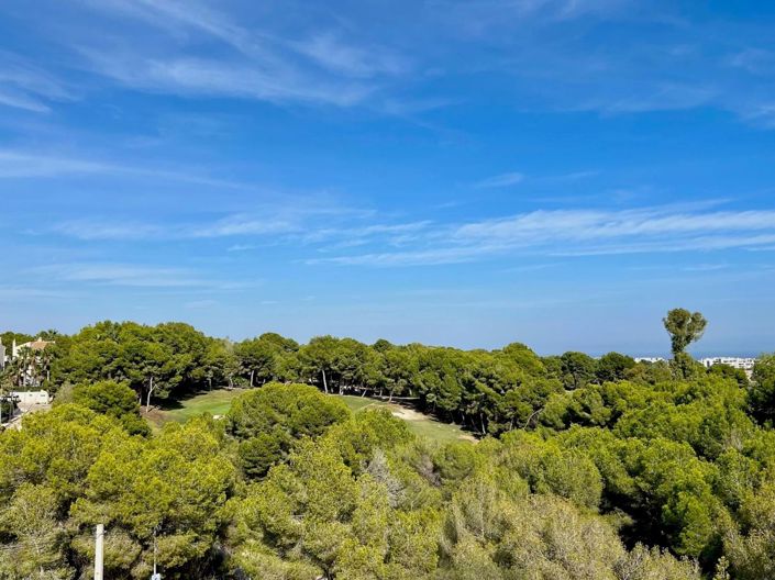 Image No.37-3 Bed Townhouse for sale