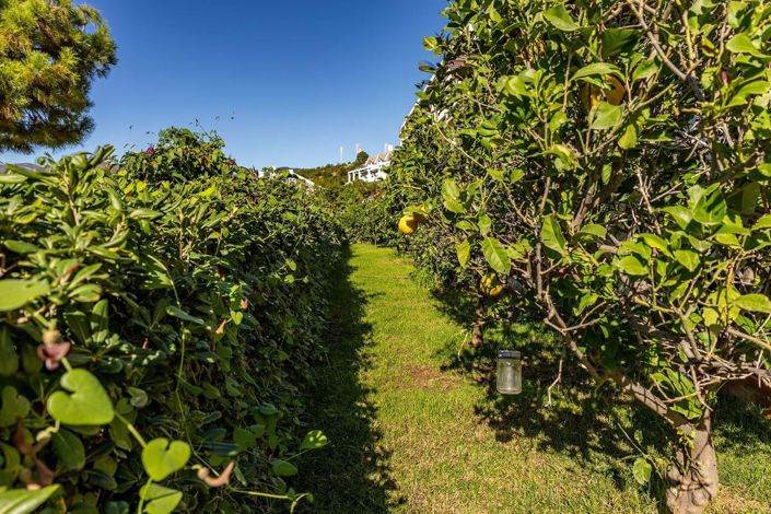 Image No.33-4 Bed Apartment for sale