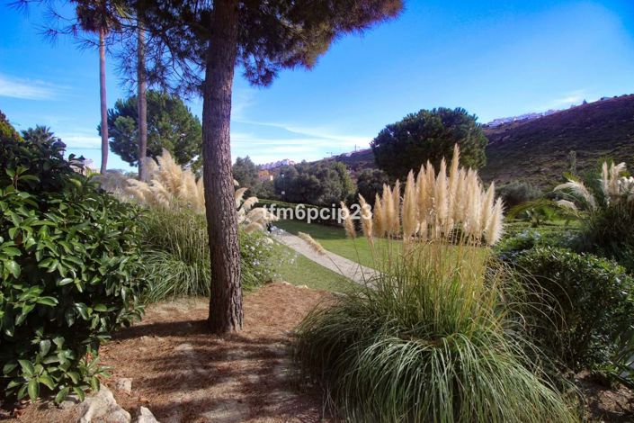 Image No.36-3 Bed Townhouse for sale