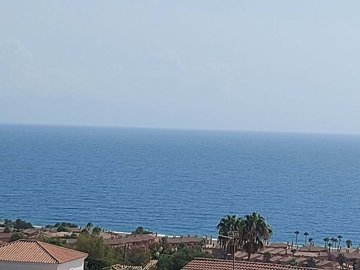 1447-521803-78d1f4f8b6655591b02d22fabb36a692d