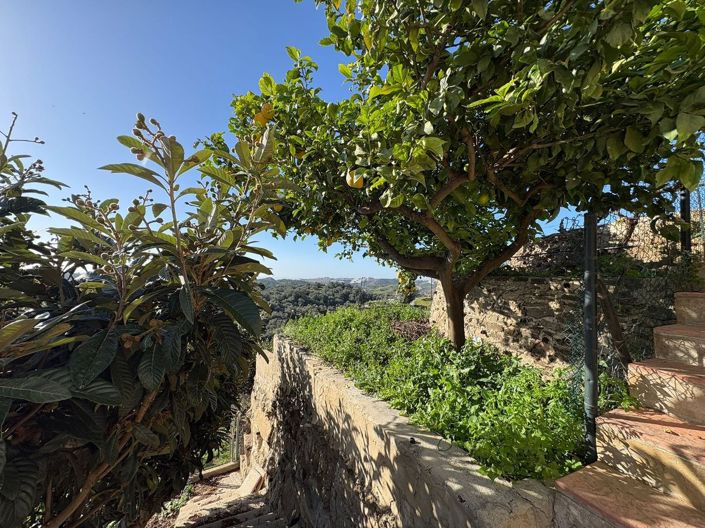 Image No.34-3 Bed Villa for sale