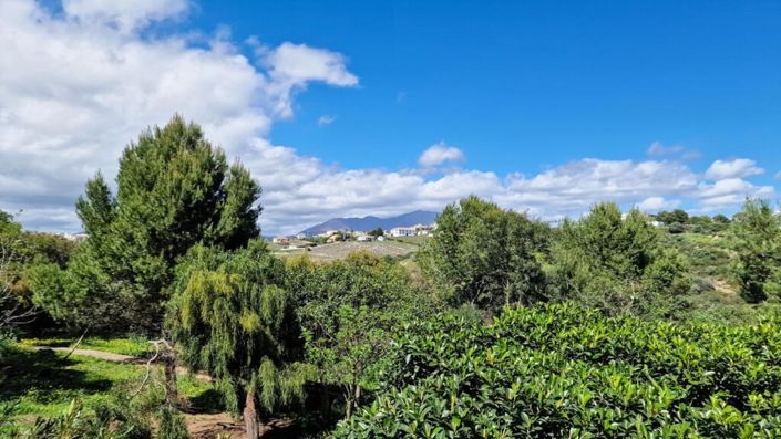 Image No.29-3 Bed Townhouse for sale