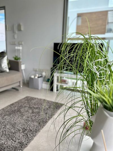 Image No.35-3 Bed Villa for sale