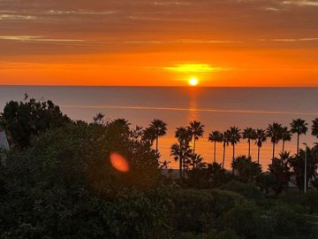 1447-624296-78d1f4f8b6655591b02d22fabb36a692d