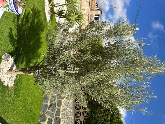 Image No.47-4 Bed Villa for sale